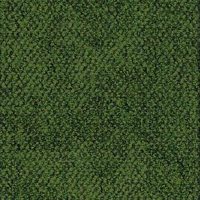 060.green plain_mottled (000800-488)