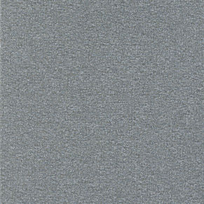 080.grey plain_mottled (000010-506)
